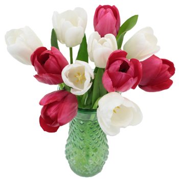 Valentine\'s Love Tulip Special