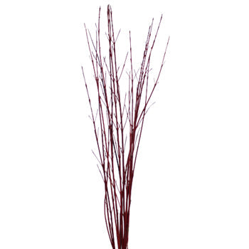 Red Dogwood Branches