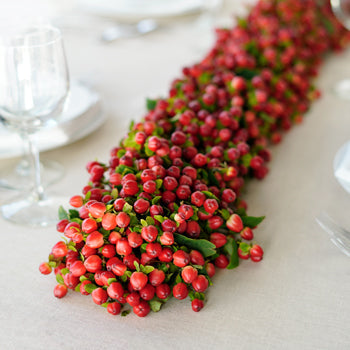 Ladybug Red Hypericum Garland