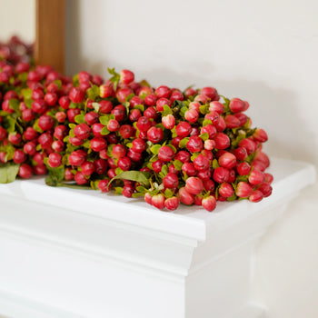 Ladybug Red Hypericum Garland