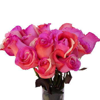 Confetti Hearts Rainbow Roses