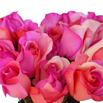 Confetti Hearts Rainbow Roses