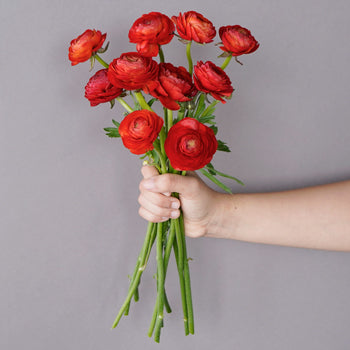 Save the Ranunculus Wild Flowers