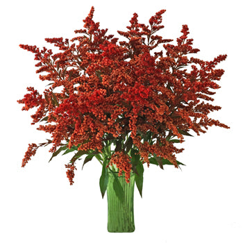 Enhanced Red Estelle Filler Flower
