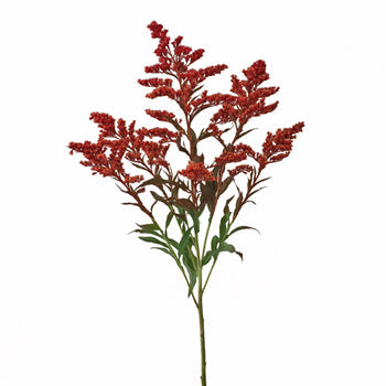 Enhanced Red Estelle Filler Flower