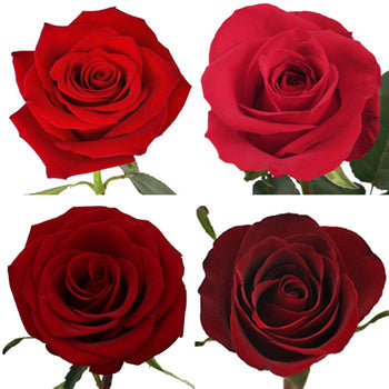 Ready To Go Wholesale Centerpieces Card