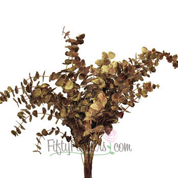 Red and Gold Tinted Baby Eucalyptus