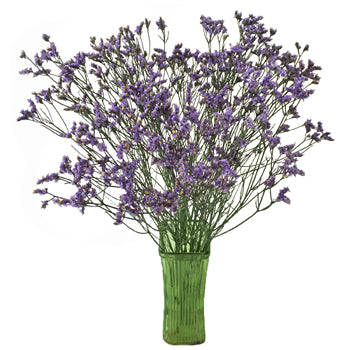 Lavender Limonium Airbrushed Filler Flowers