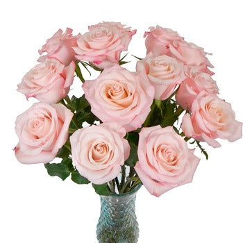 Cupcake Frosting Rose