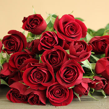 Dark Red Fresh Spray Roses