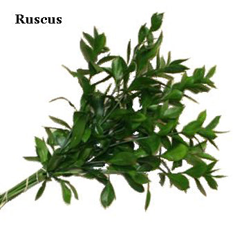 Salal and Ruscus Greens Garland