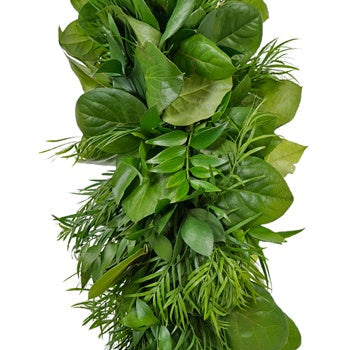 Israeli Ruscus, Salal and Weeping Podocarpus Greens Garland