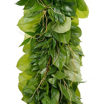 Salal and Italian Ruscus Greens with Curly Tips Garland