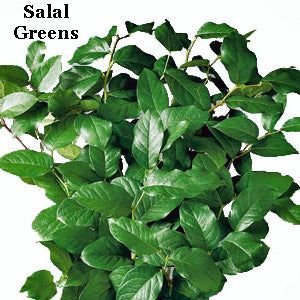 Salal and Ruscus Greens Garland