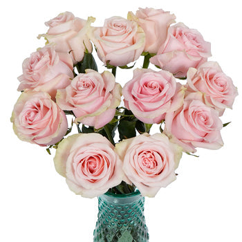 Paris Pink Rose
