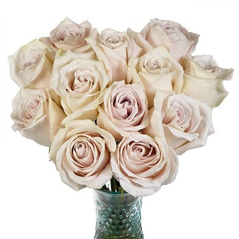 Blushing Beige Rose