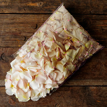 Dry Rose Petals Sandy