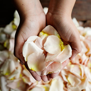 Dried Rose Petals Sandy