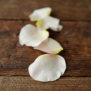 Dried Flower Petals Sandy