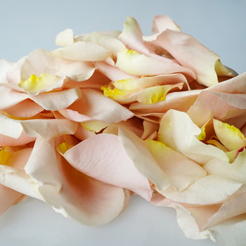 Buy Dried Rose Petals Sandy