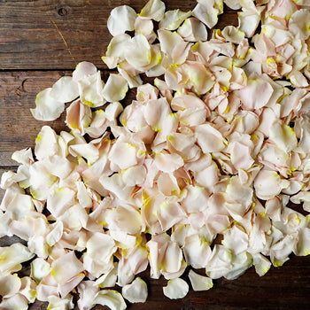 Rose Petals Bulk Sandy