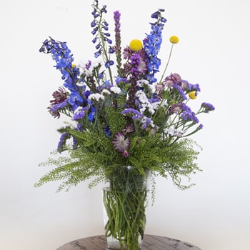 Save the Ecuadorian Wild Flowers DIY Combo Box