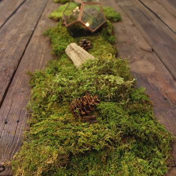 Fresh Sheet Moss