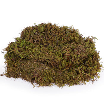 Fresh Sheet Moss