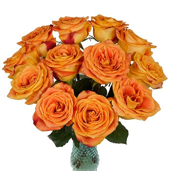 Silantoi Sunset Rose