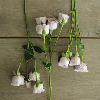 Silver Mikado Lavender Rose Bunch