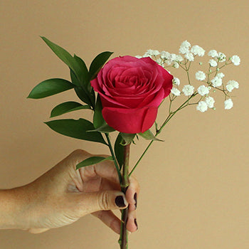 Valentine's Day Single Rose Bouquet for Fundraising