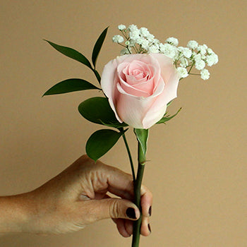 Single Stem Rose Bouquet for Fundraising