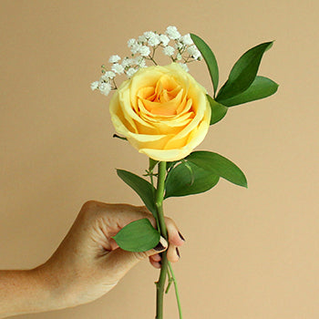 Single Stem Rose Bouquet for Fundraising