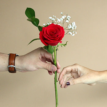 Valentine's Day Single Red or Assorted Rose Bouquet for Fundraising