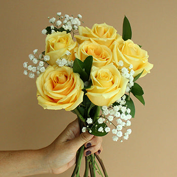 Six Stem Rose Bouquet for Fundraising