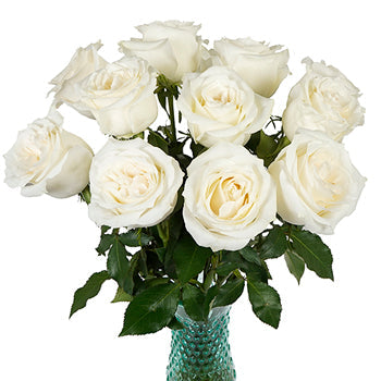 Group One Sothebys International Realty Roses
