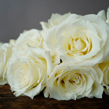 Valentines White Rose Special