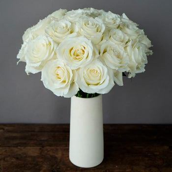 Valentines White Rose Special