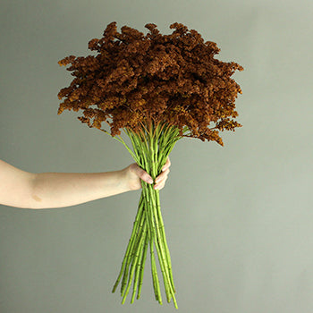 Cinnamon Bark Tinted Solidago Flower