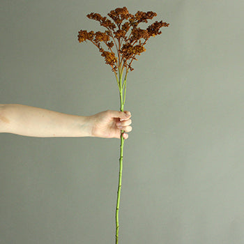 Cinnamon Bark Tinted Solidago Flower