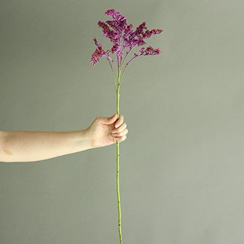 Lilac Purple Tinted Wild Solidago Flower