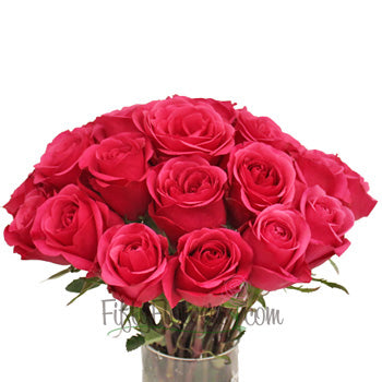 Solitaire Hot Raspberry Pink Rose