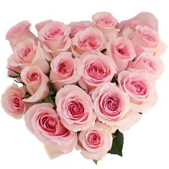 Fresh Cut Rose Sweet Pink