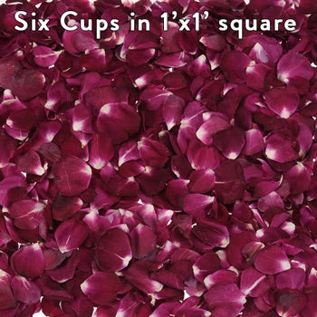 Red Dried Real Rose Petals