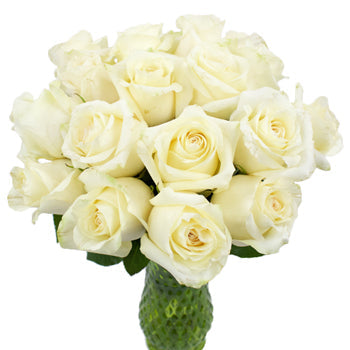 Sublime Champagne Bulk Roses
