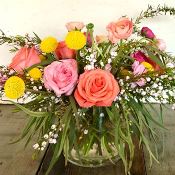 Sweetwater Summer Dream Flower Pack