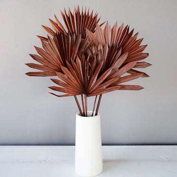 Dried Mocha Sun Palms