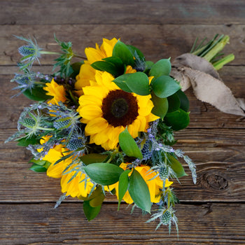 Save the Sunflowers Combo Box