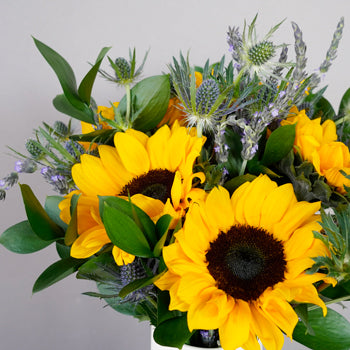 Save the Sunflowers Combo Box