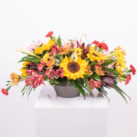Sunflower DIY Flower Kit with supplies